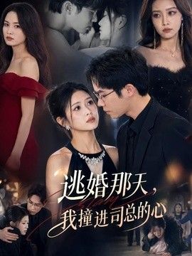 逃婚那天，我撞进司总的心